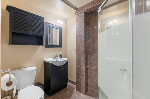 933 Applewood Drive Se, Calgary, AB - Indoor Photo Showing Bathroom