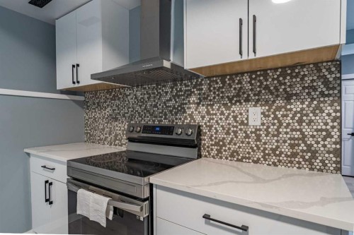 134 Erin Meadow Crescent Se, Calgary, AB - Indoor Photo Showing Kitchen