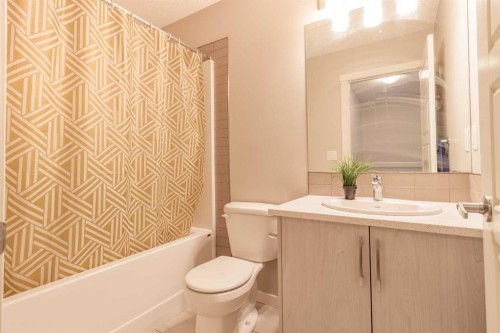 1016-7451 Falconridge Boulevard Ne, Calgary, AB - Indoor Photo Showing Bathroom