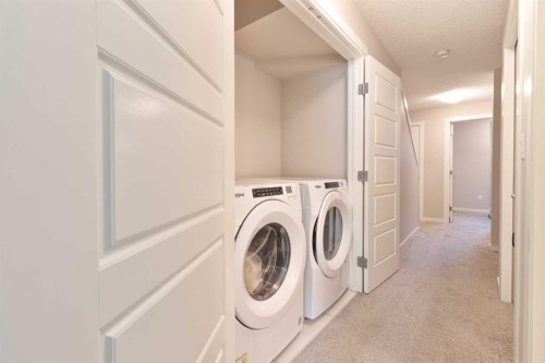1016-7451 Falconridge Boulevard Ne, Calgary, AB - Indoor Photo Showing Laundry Room