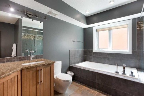 102-814 Memorial Drive Nw, Calgary, AB - Indoor Photo Showing Bathroom