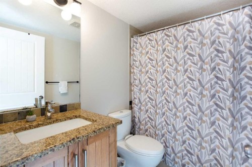 102-814 Memorial Drive Nw, Calgary, AB - Indoor Photo Showing Bathroom