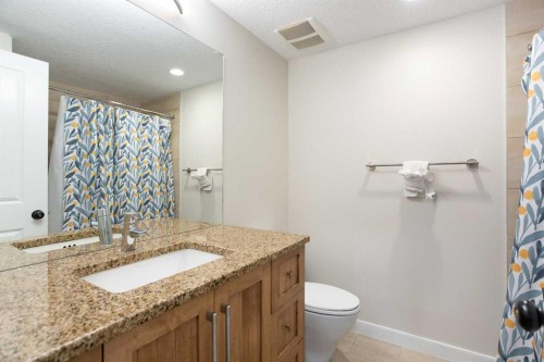 102-814 Memorial Drive Nw, Calgary, AB - Indoor Photo Showing Bathroom