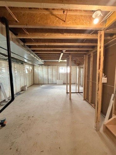 1999 Mccaskill Drive, Crossfield, AB - Indoor Photo Showing Basement