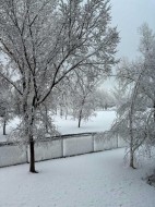 7204-14 Hemlock Crescent SW Calgary, AB T3C 2Z1