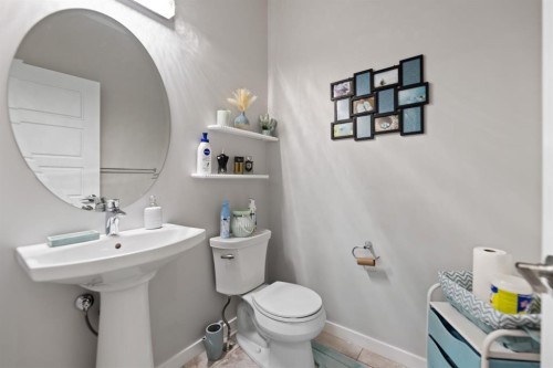 14 Red Embers Crescent Ne, Calgary, AB - Indoor Photo Showing Bathroom