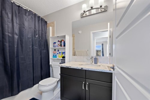 14 Red Embers Crescent Ne, Calgary, AB - Indoor Photo Showing Bathroom