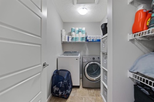 14 Red Embers Crescent Ne, Calgary, AB - Indoor Photo Showing Laundry Room