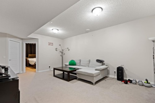 14 Red Embers Crescent Ne, Calgary, AB - Indoor