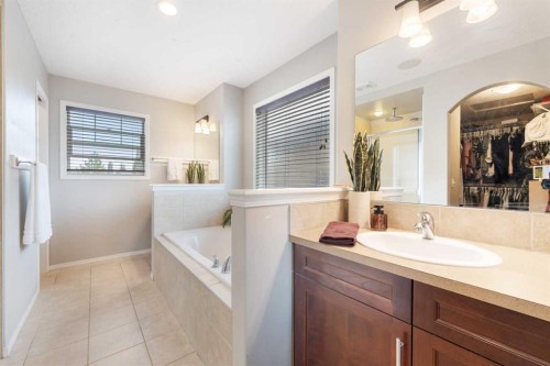 20 Auburn Sound Terrace Se, Calgary, AB - Indoor Photo Showing Bathroom