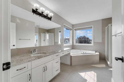 202 Coral Reef Manor Ne, Calgary, AB - Indoor Photo Showing Bathroom