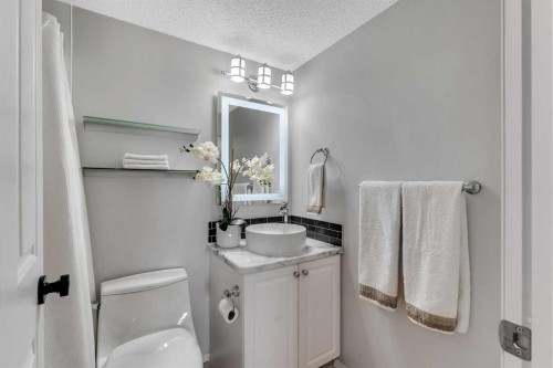 8328-304 Mackenzie Way Sw, Airdrie, AB - Indoor Photo Showing Bathroom