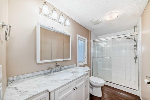 842 Briarwood Road, Strathmore, AB - Indoor Photo Showing Bathroom