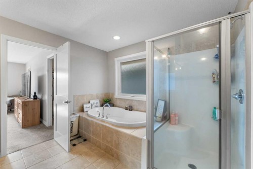 86 Auburn Glen Circle Se, Calgary, AB - Indoor Photo Showing Bathroom