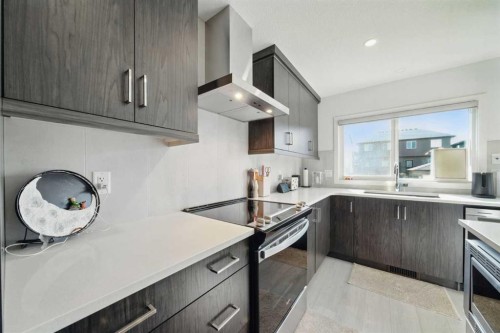 47 Edith Terrace Nw, Calgary, AB - Indoor Photo Showing Kitchen With Stainless Steel Kitchen With Upgraded Kitchen