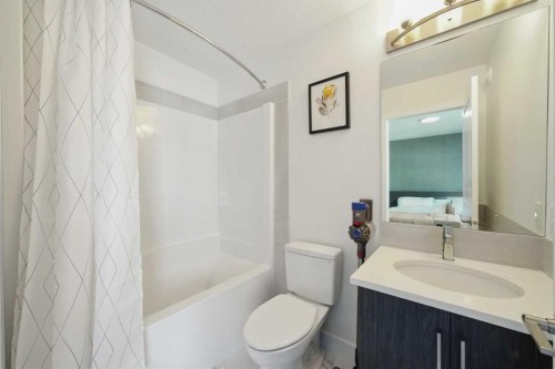 47 Edith Terrace Nw, Calgary, AB - Indoor Photo Showing Bathroom