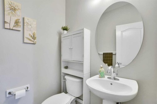 124 Skyview Shores Road Ne, Calgary, AB - Indoor Photo Showing Bathroom