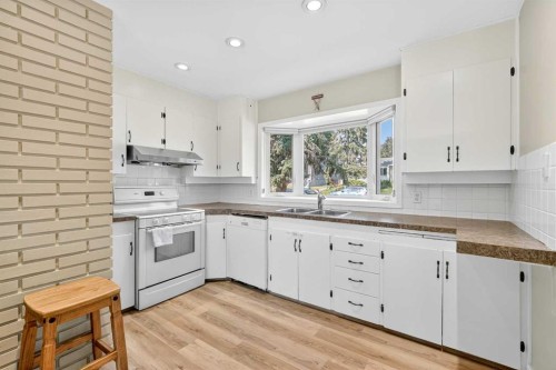 35 Collingwood Place Nw, Calgary, AB - Indoor Photo Showing Kitchen With Double Sink