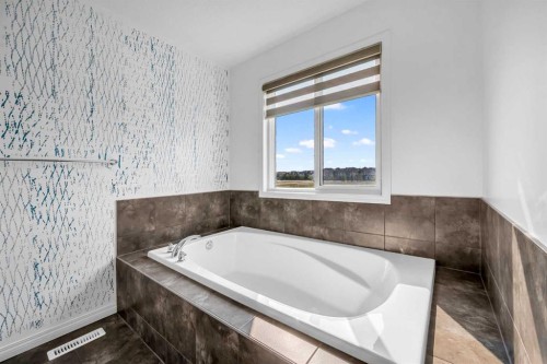 21 Cityscape Place Ne, Calgary, AB - Indoor Photo Showing Bathroom