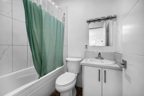 21 Cityscape Place Ne, Calgary, AB - Indoor Photo Showing Bathroom