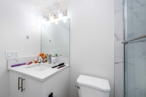 5640 Temple Drive Ne, Calgary, AB - Indoor Photo Showing Bathroom