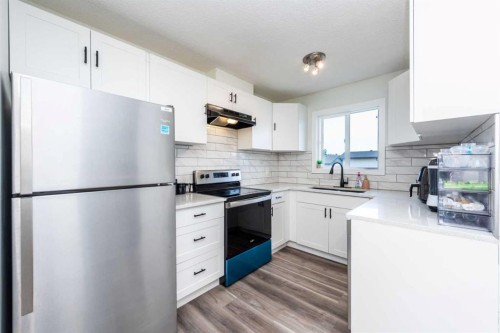 5640 Temple Drive Ne, Calgary, AB - Indoor Photo Showing Kitchen With Stainless Steel Kitchen With Upgraded Kitchen