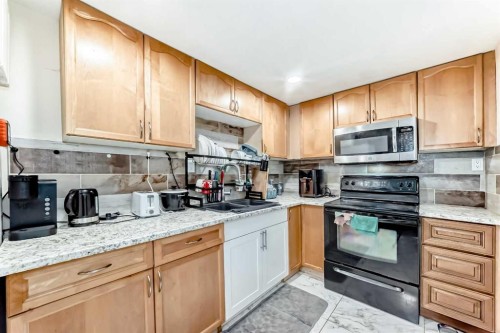 203 Penbrooke Close Se, Calgary, AB - Indoor Photo Showing Kitchen With Double Sink