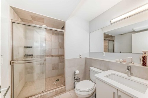 213 Springbluff Boulevard Sw, Calgary, AB - Indoor Photo Showing Bathroom