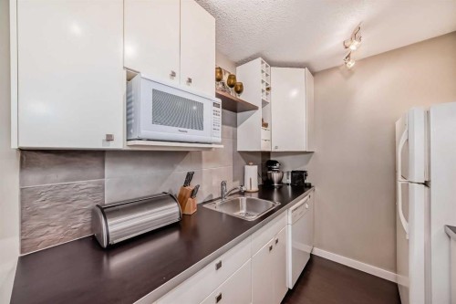 554 Whitehill Place Ne, Calgary, AB - Indoor Photo Showing Kitchen