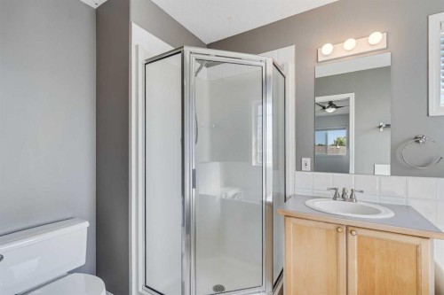 201 Crystalridge Rise, Okotoks, AB - Indoor Photo Showing Bathroom