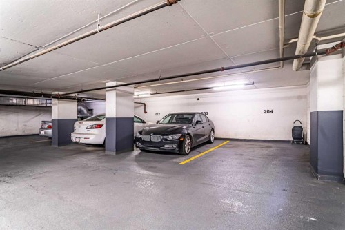 1301-1110 11 Street Sw, Calgary, AB - Indoor Photo Showing Garage