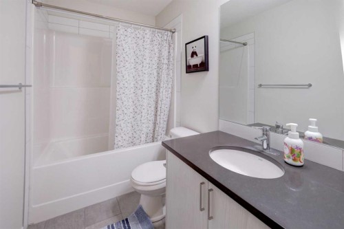 113 South Point Court Sw, Airdrie, AB - Indoor Photo Showing Bathroom