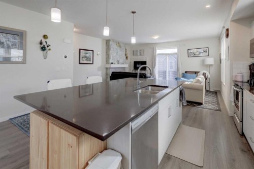 113 South Point Court Sw, Airdrie, AB - Indoor Photo Showing Kitchen With Double Sink With Upgraded Kitchen