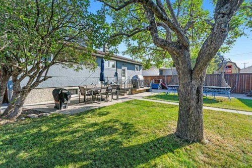 1131 15 Avenue Ne, Calgary, AB - Outdoor