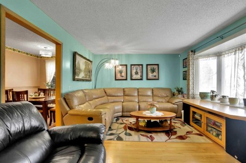 13 Falworth Way Ne, Calgary, AB - Indoor Photo Showing Living Room