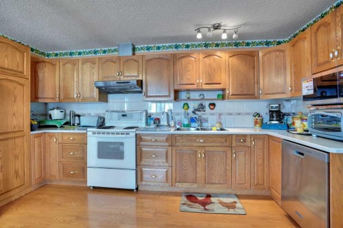 13 Falworth Way Ne, Calgary, AB - Indoor Photo Showing Kitchen With Double Sink