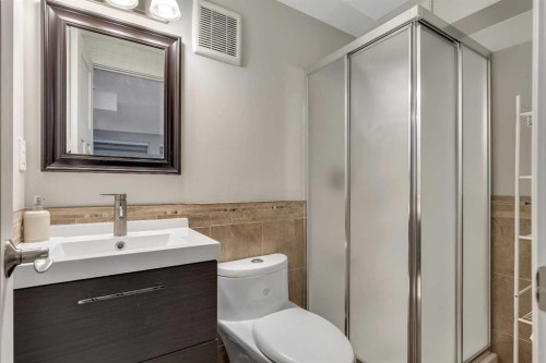 136 Castleglen Way Ne, Calgary, AB - Indoor Photo Showing Bathroom