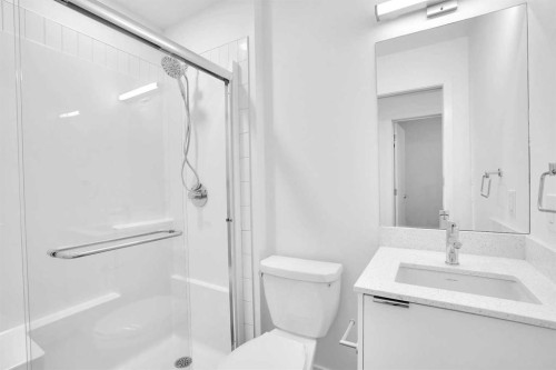 2313-8500 19 Avenue Se, Calgary, AB - Indoor Photo Showing Bathroom