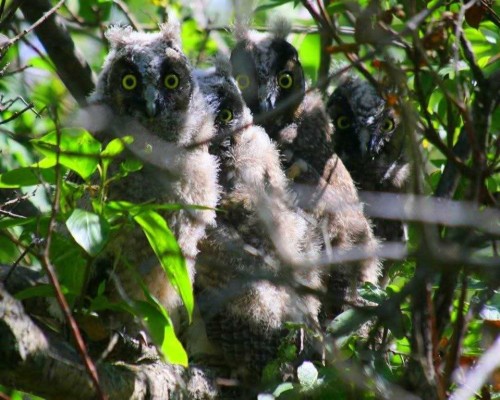 40225 Rr 19-2, Rural Stettler No. 6, County Of, AB - Outdoor