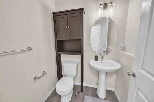 145 Red Sky Way Ne, Calgary, AB - Indoor Photo Showing Bathroom