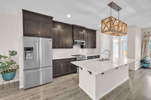 145 Red Sky Way Ne, Calgary, AB - Indoor Photo Showing Kitchen With Stainless Steel Kitchen With Double Sink With Upgraded Kitchen