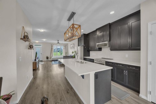 145 Red Sky Way Ne, Calgary, AB - Indoor Photo Showing Kitchen With Upgraded Kitchen