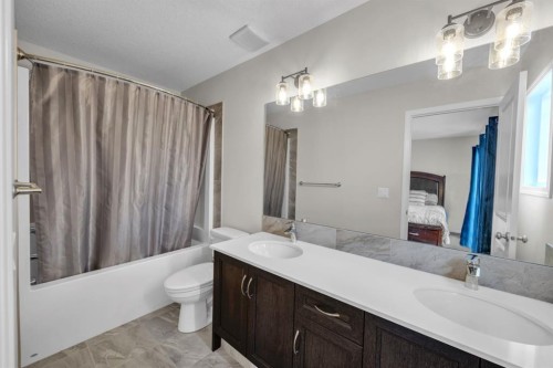 145 Red Sky Way Ne, Calgary, AB - Indoor Photo Showing Bathroom
