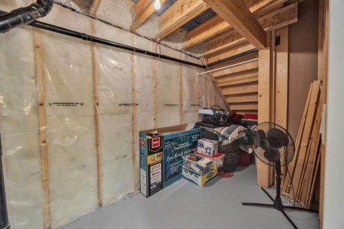 145 Red Sky Way Ne, Calgary, AB - Indoor Photo Showing Basement