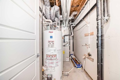 59 Nolanlake Cove Nw, Calgary, AB - Indoor Photo Showing Basement