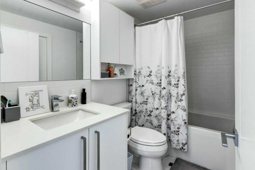 206-3130 Thirsk Street Nw, Calgary, AB - Indoor Photo Showing Bathroom