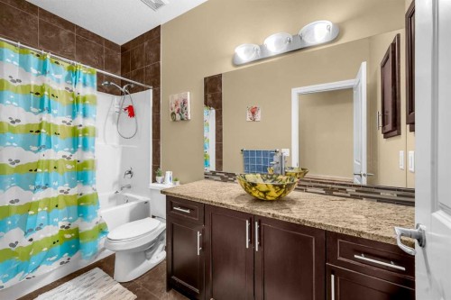 217 Taralake Manor Ne, Calgary, AB - Indoor Photo Showing Bathroom