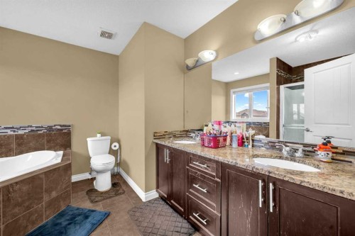 217 Taralake Manor Ne, Calgary, AB - Indoor Photo Showing Bathroom