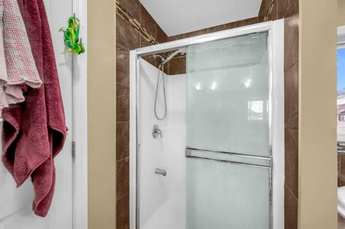 217 Taralake Manor Ne, Calgary, AB - Indoor Photo Showing Bathroom