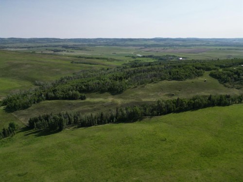 - -, Millarville, AB 